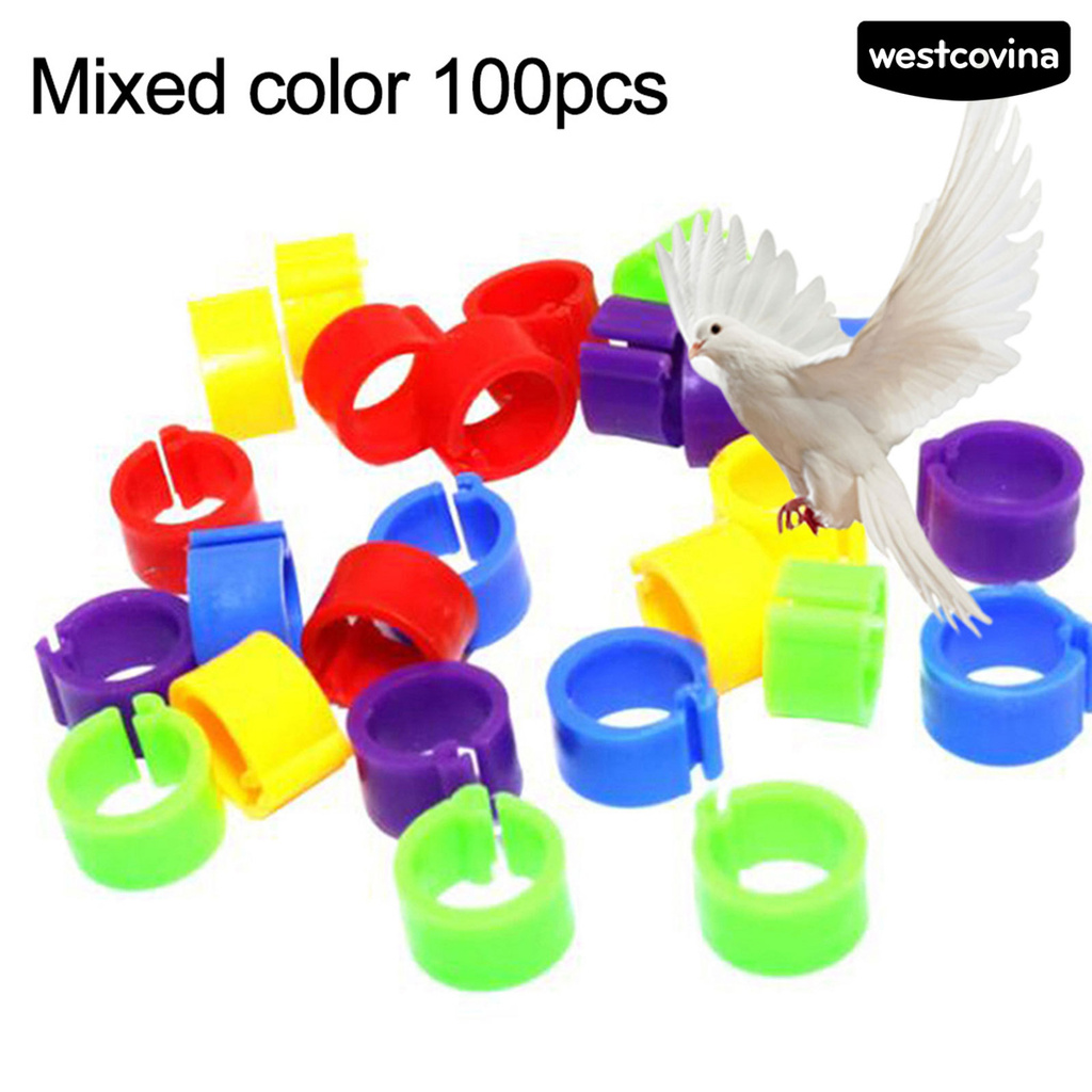 Set 100 Khuyên Đeo Chân Đánh Dấu Gia Cầm Nhiều Màu Sắc 8mm