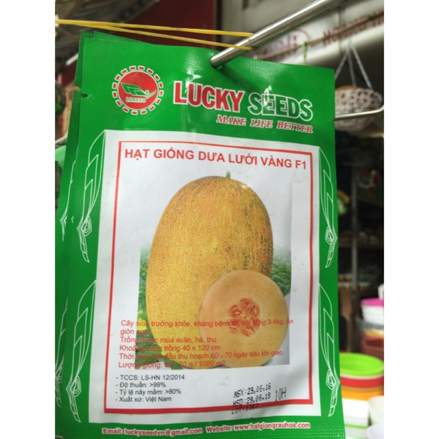 Hạt giống dưa lưới vàng 10 hạt