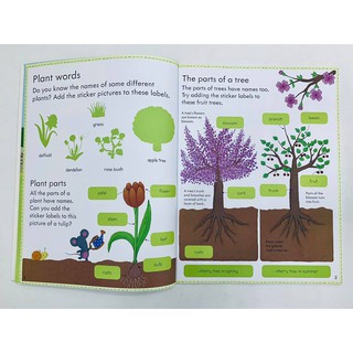 Dính dán - Usborne sticker book - How things grow