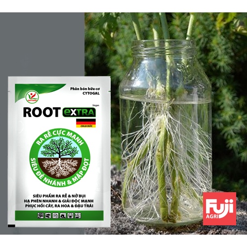 Phân kích rễ ROOT EXTRA ĐỨC 25ml