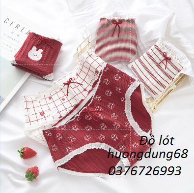 Quần Lót Nữ Cotton Hình Dâu Tây Giữa Eo Thời Trang Nhật Bản  Hàng Loại Đẹp.