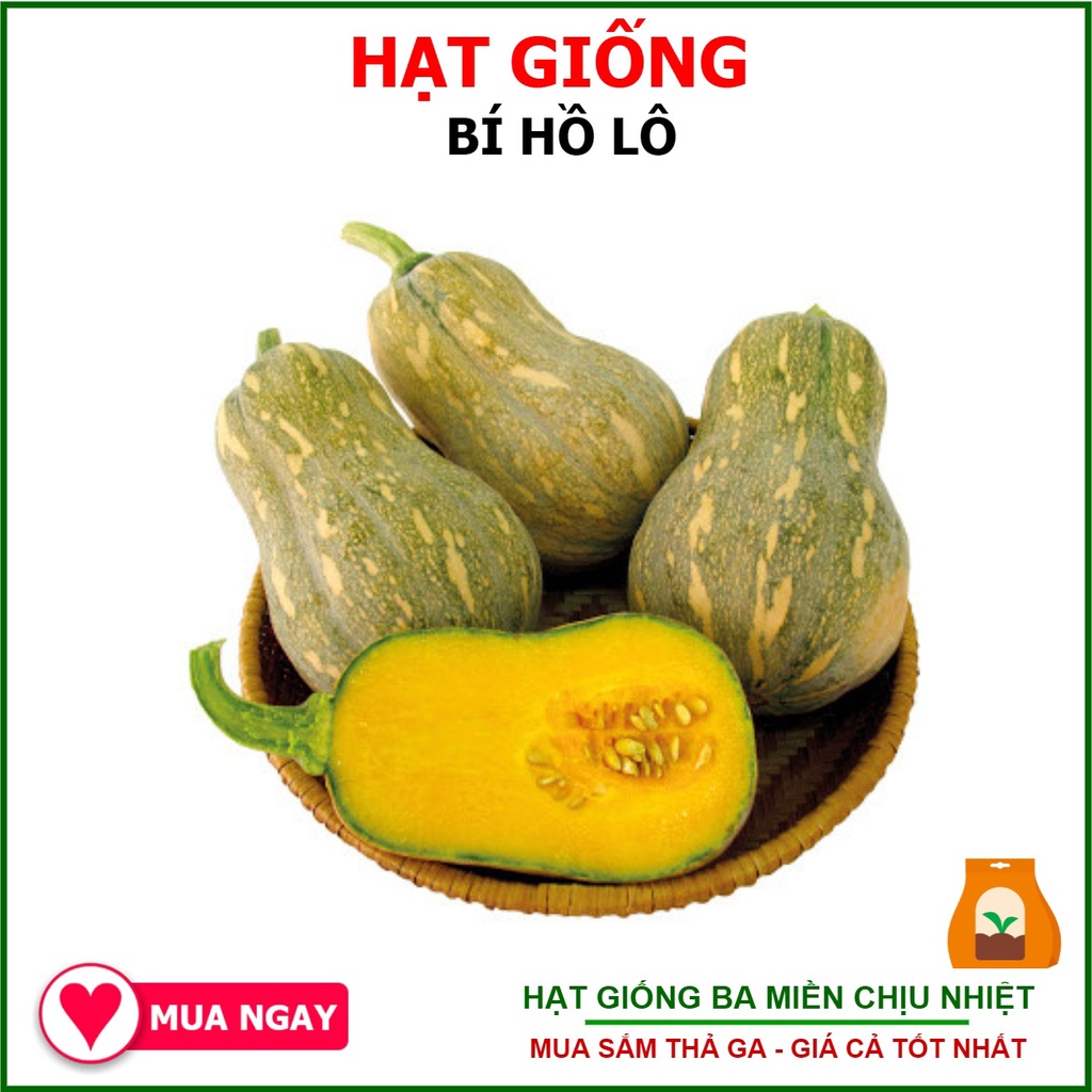 Hạt Giống Bí Hồ Lô, Bí Đỏ Hạt Đậu