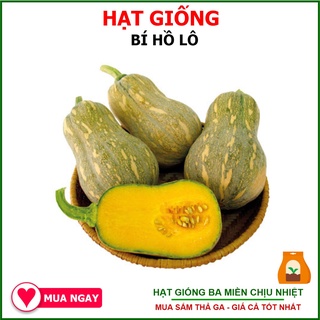 Hạt Giống Bí Hồ Lô, Bí Đỏ Hạt Đậu