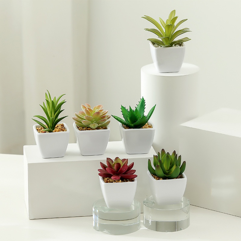 Chậu cây hoa nhân tạo phối đá sen mini nhiều kiểu dáng dùng cho trang trí nội thất phòng