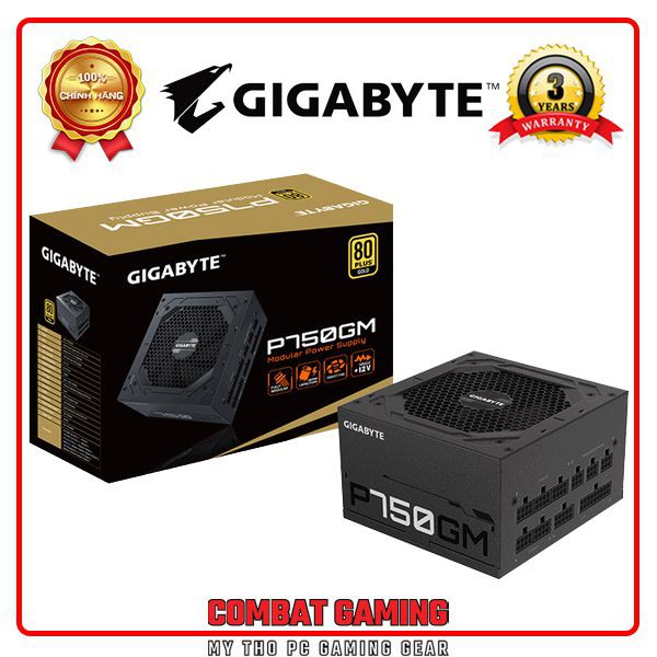 Nguồn GIGABYTE P750GM 750W (80 PLus Gold/FULL MODULAR/Màu Đen)