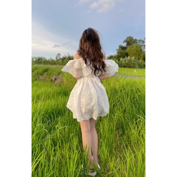 Đầm trễ vai bèo tầng cao cấp PLD14