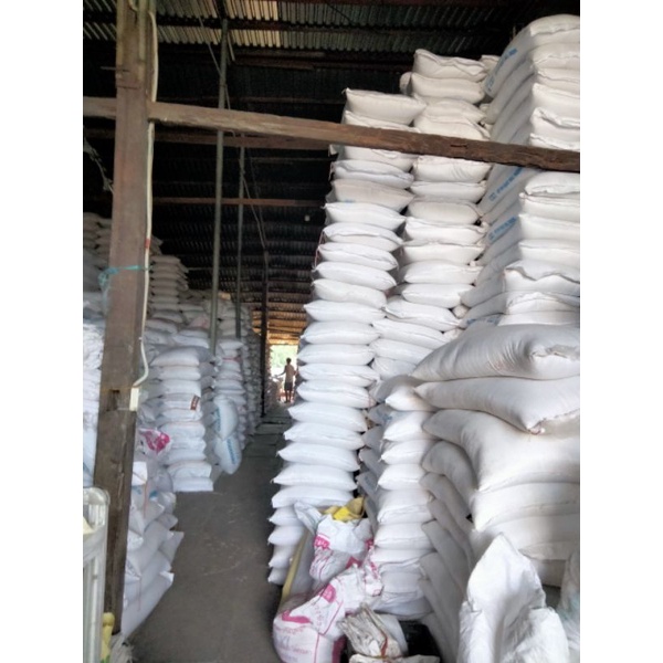 Gạo ngon nhất thế giới