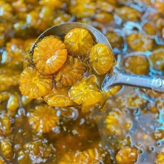 🍊🍊TẮC XÍ MUỘI HOA  ĐƯỜNG PHÈN🍊🍊