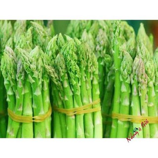 Hạt giống măng tây xanh gói 0.2gr