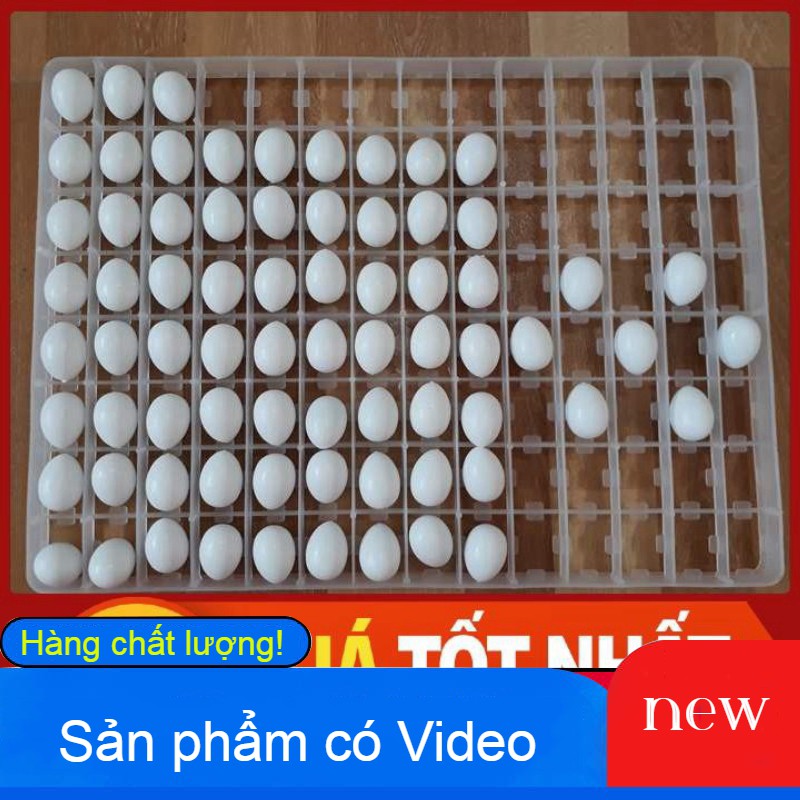 COMBO 5 KHAY ĐỰNG TRỨNG ĐỂ ẤP-KHAY NHỰA ẤP TRỨNG-KHAY ĐẢO TRỨNG BẰNG NHỰA-KHAY MÁY ẤP