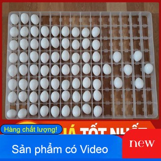 COMBO 5 KHAY ĐỰNG TRỨNG ĐỂ ẤP-KHAY NHỰA ẤP TRỨNG-KHAY ĐẢO TRỨNG BẰNG NHỰA-KHAY MÁY ẤP