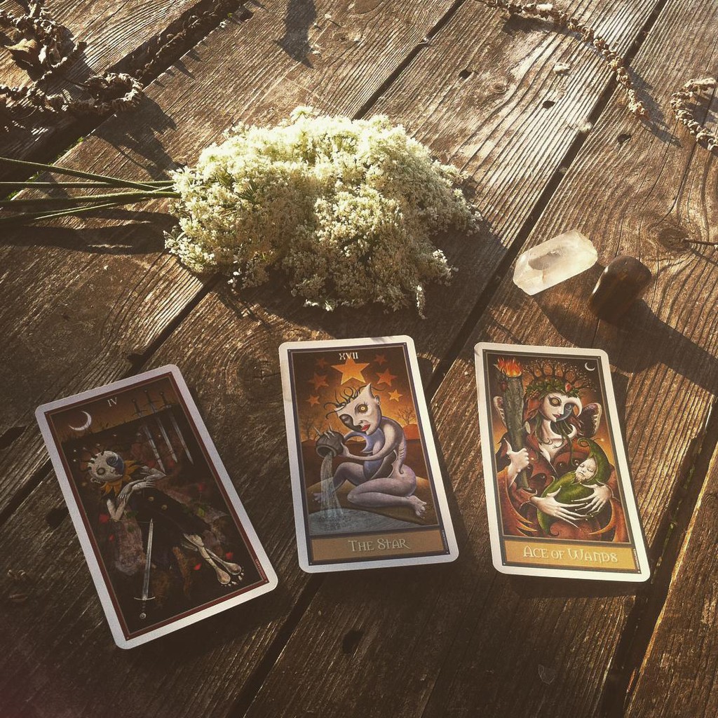 Bộ bài Deviant Moon Tarot Deck Deluxe Edition - Phiên bản có viền