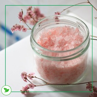 Hạt Làm Sữa - Set Hạt Điều Mix