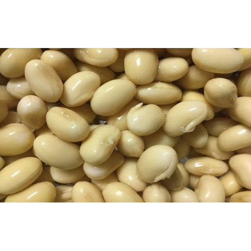 100g đỗ tương làm mầm đậu nành – đỗ tương quê hạt mẩy đẹp