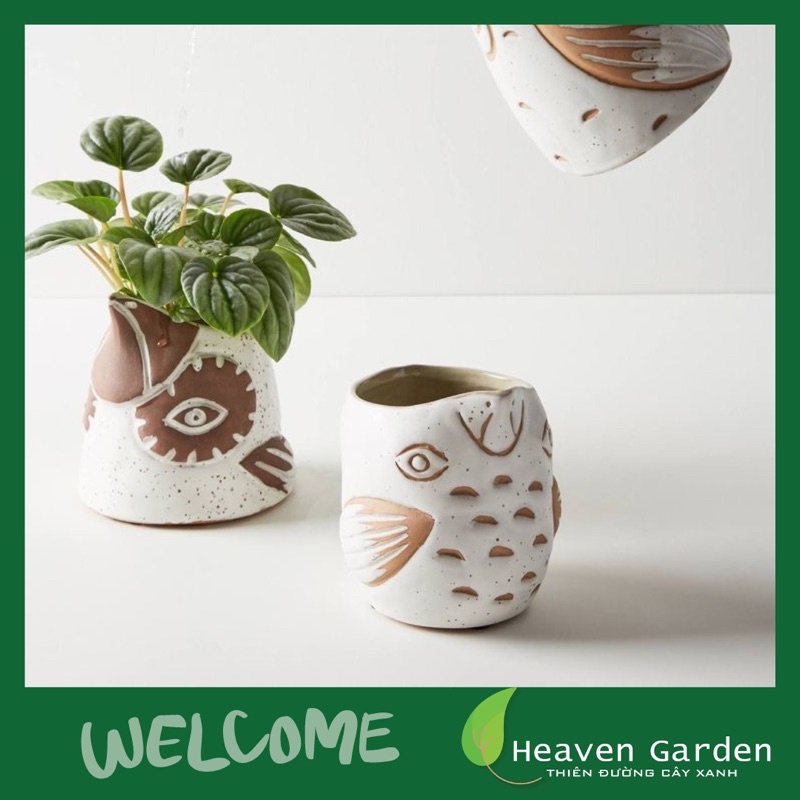 Chậu chim gốm Linda Hasido decor, trồng cây, đựng nến