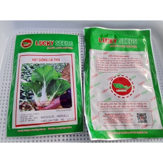 HẠT GIỐNG RAU CẢI THÌA