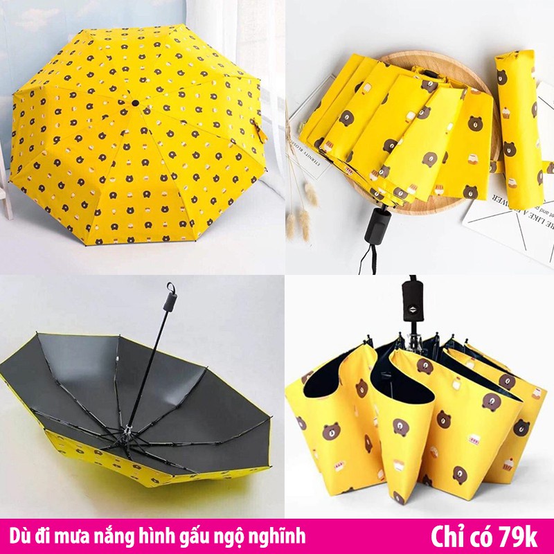 Ô - DÙ GẤP GỌN HÌNH GẤU BROWN