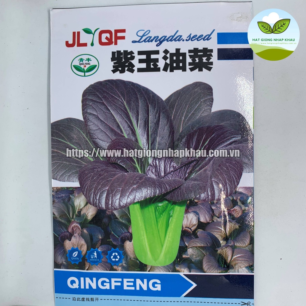Hạt giống cải thìa tím (Nội địa Trung)