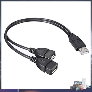 Dây cáp mở rộng 30cm USB2.0 Male sang Dual USB Female