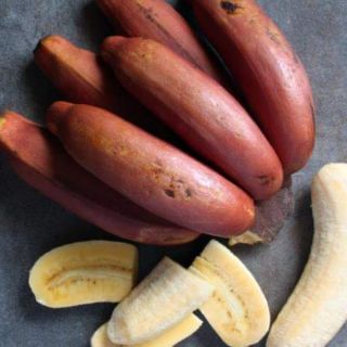 Cây giống chuối đỏ Đacka