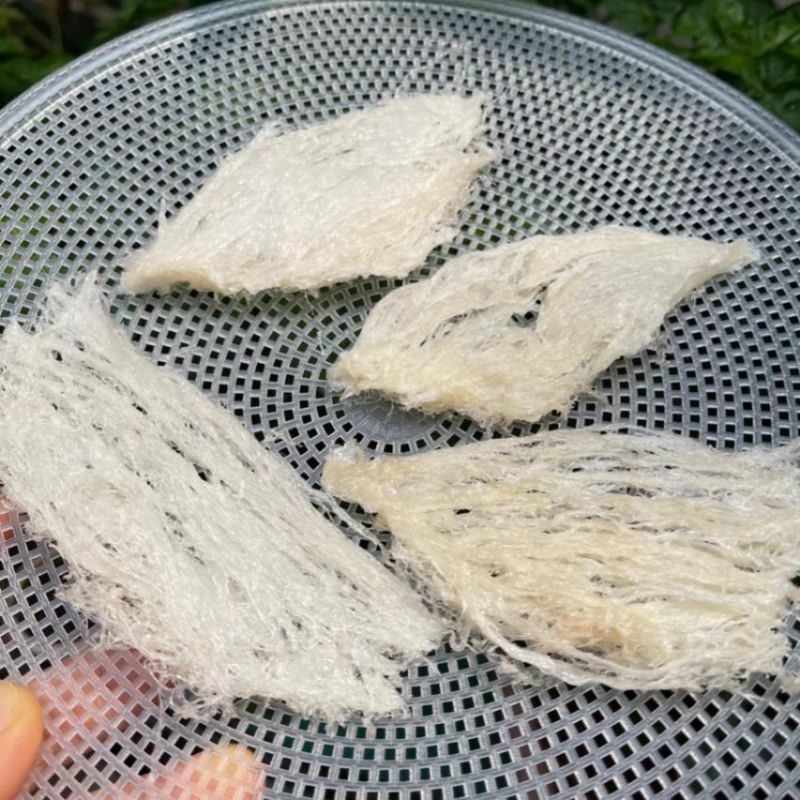 TỔ YẾN SƠ CHẾ KHÁNH HÒA RÚT LÔNG ÉP LÁ THẲNG THƯỢNG HẠNG.