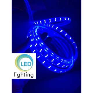 Đèn Led dây đôi 2835, ống nhựa 220V (bán theo m, chưa kèm dây nguồn)