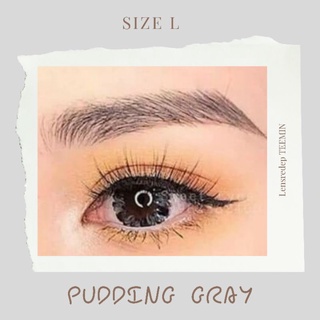 lens pudding gray xám giãn tròng