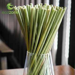 [bảo hành 12 tháng ẩm mốc] Hộp 100 ống hút cỏ bàng khô Ecozone tiêu chuẩn xuất khẩu - Grass Straws Vietnam