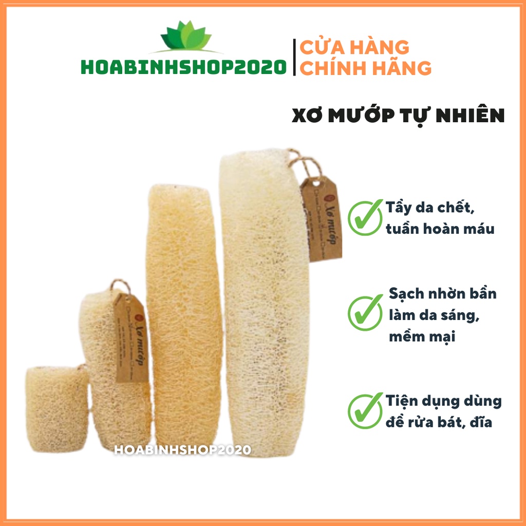 BÔNG TẮM XƠ MƯỚP HỮU CƠ HTX SINH DƯỢC( 10-15cm)