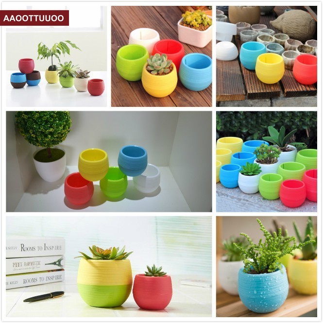 Chậu cây nhựa mini nhiều màu sắc tươi tắn thích hợp trang trí nhà cửa