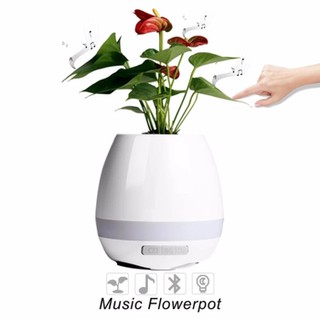 chậu cây thông minh kiêm loa bluetooth