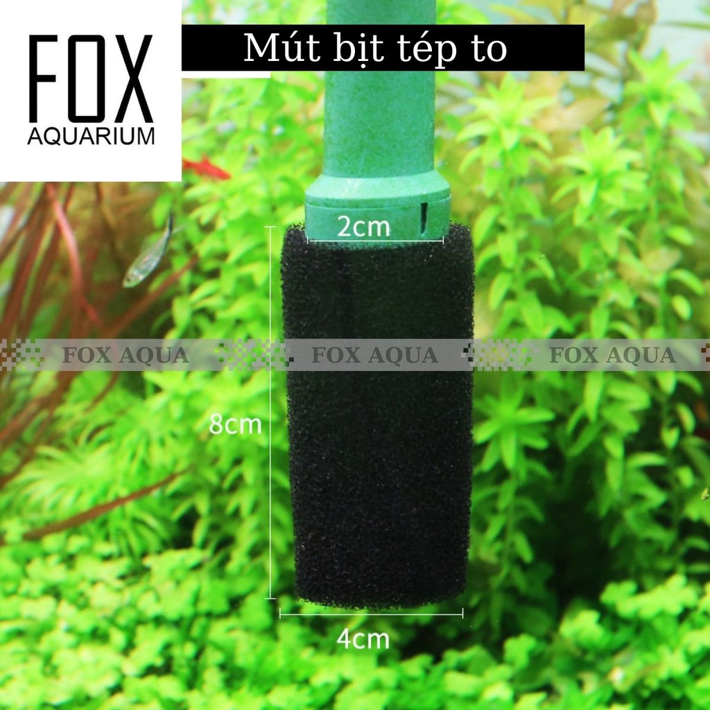 Bịt Tép Inox | Bịt Tép Mút Xốp  Fi12, Fi16