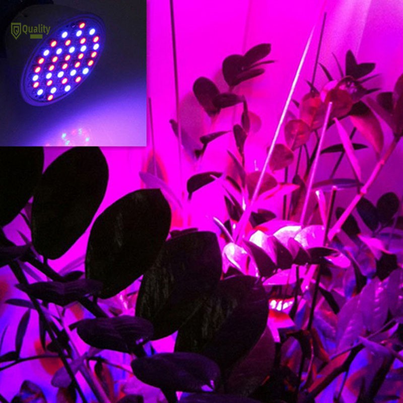 Đèn led trồng cây E27 36 bóng UV IR dành cho nhà kính trong nhà