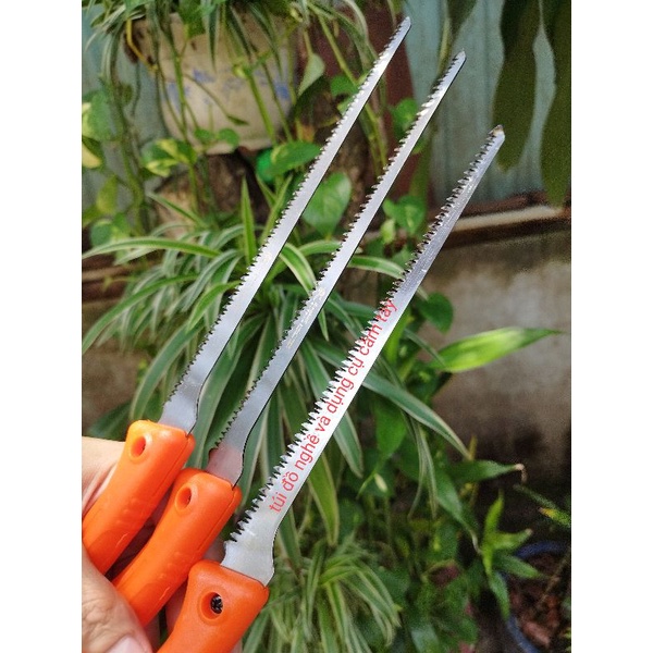 cưa gỗ, trần thạch cao, bonsai kapusi chính hãng