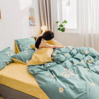Cotton poly cúc họa mi xanh