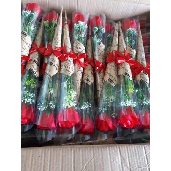 HOA SÁP VĨNH CỬU LOẠI 1 BÔNG ỐC QUẾ