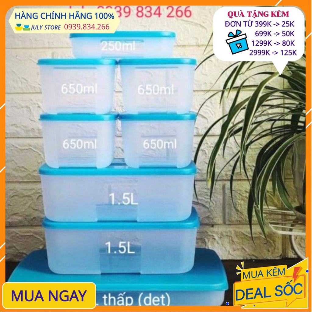 Tupperware ❤️Freeship❤️Bộ hộp bảo quản trữ đông Freezermate 8 hộp (1/2 bộ 16) | BigBuy360 - bigbuy360.vn