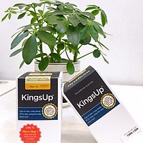 KINGSUP – HỖ TRỢ BỔ THẬN, TRÁNG DƯƠNG, NGĂN NGỪA XUẤT TINH SỚM (LỌ 30 VIÊN)