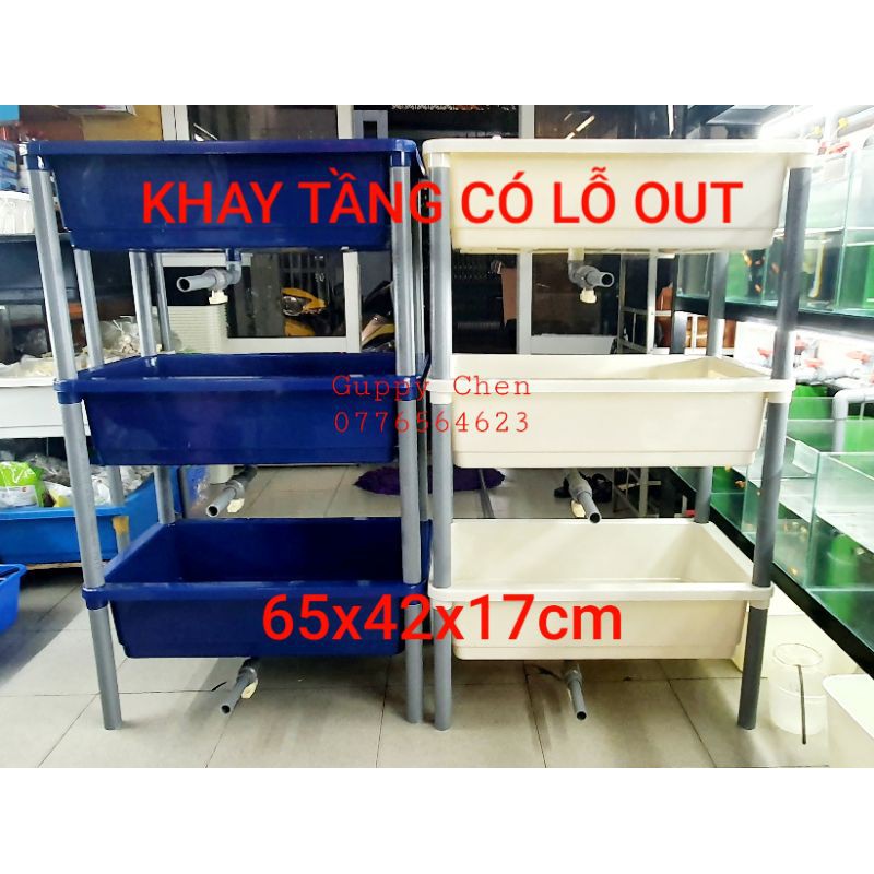  GIAO HỎA TỐC TPHCM - KHAY 3 TẦNG CẢI TIẾN CÓ LỖ OUT NUÔI CÁ