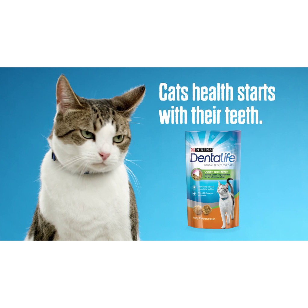Purina Dentalife Treat viên vệ sinh răng làm sạch mảng bám vị gà 40GR cho mèo