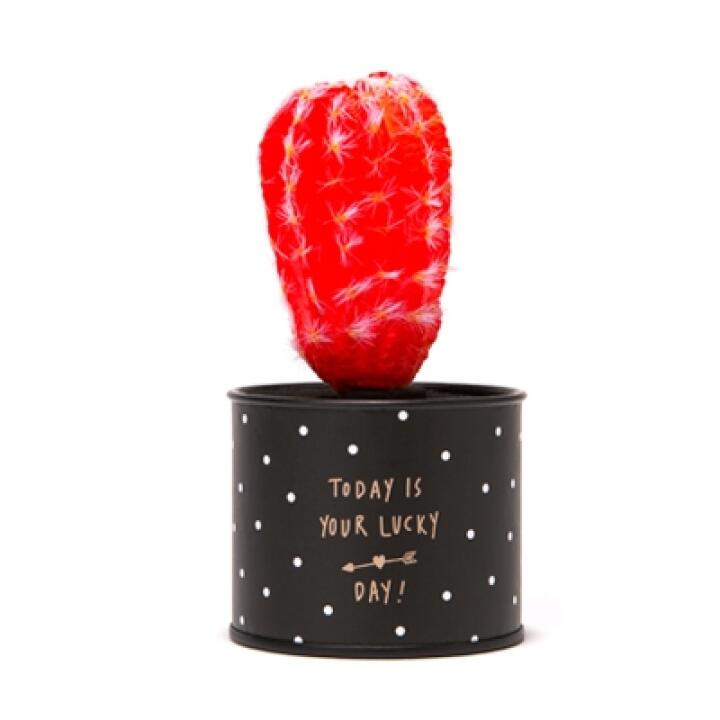 Ống Heo Tiết Kiệm ARTBOX Hàn Quốc Thiết Kế Hình Cây Xương Rồng Đỏ Độc Đáo