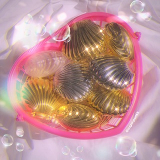 HỘP ĐỰNG PHỤ KIỆN VỎ SÒ // SEASHELL CASE