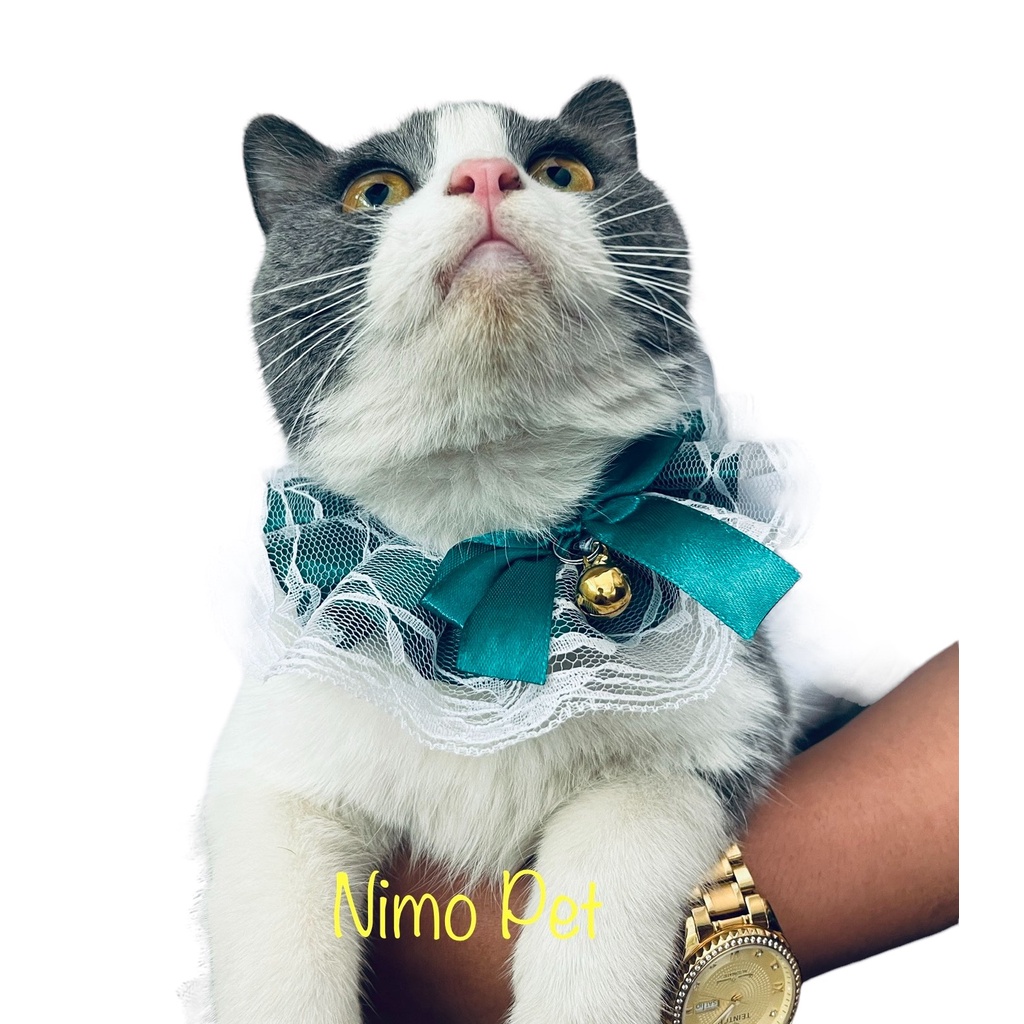 Yếm đeo cổ ren kèm chuông độc đáo cho thú cưng
