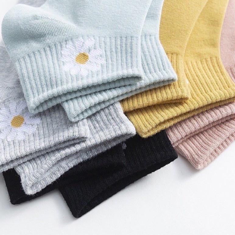 Set 10 Đôi Tất Cotton Hoa Cúc Siêu Hot Túi Rút