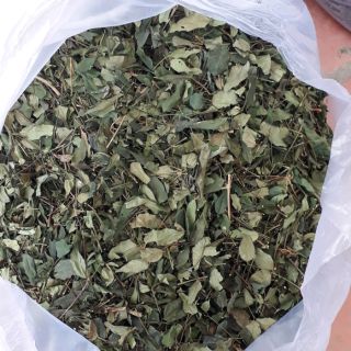 Chè vằng sẻ trên rừng 1-2 nắng bao khô xanh đẹp