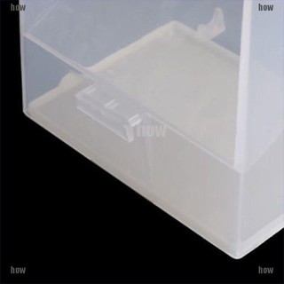 Khay Đựng Thức Ăn Tự Động Cho Chim Cảnh