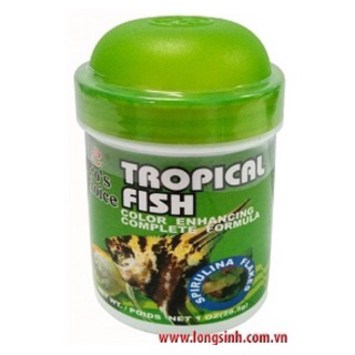 THỨC ĂN CÁ ÔNG TIÊN, THẦN TIÊN - Tropical Fish