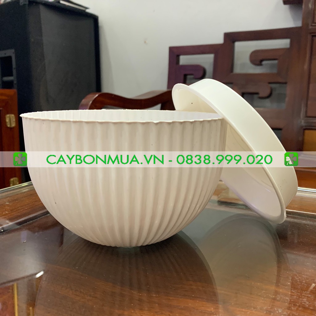 Chậu nhựa trắng cao cấp - Chậu nhựa trắng loe