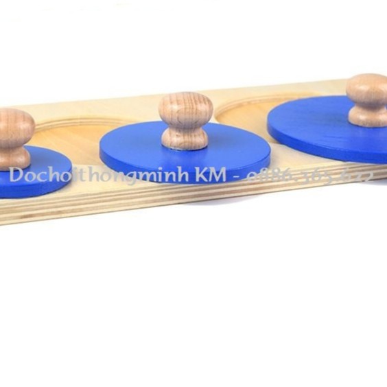 Giáo cụ Montessori 0-3 tuổi - Ghép 3 hình hình tròn to nhỡ nhỏ - LOẠI TO ĐẸP