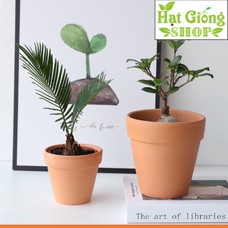 Chậu đất Nung Đỏ mini , Chậu gờ